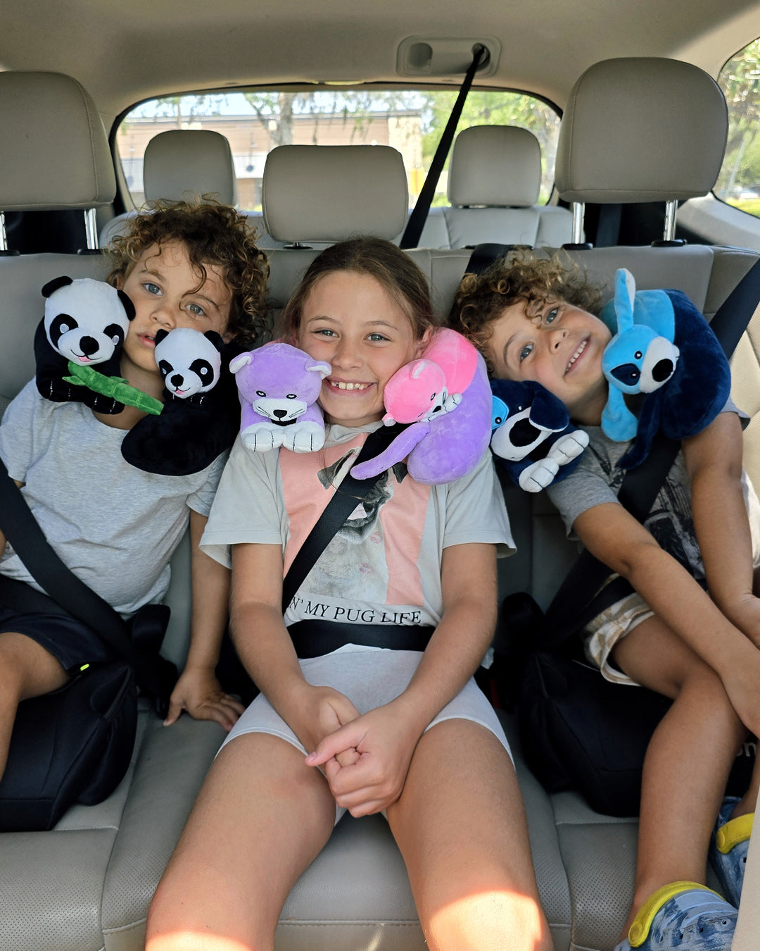 Evolution Kids Neck Pillow